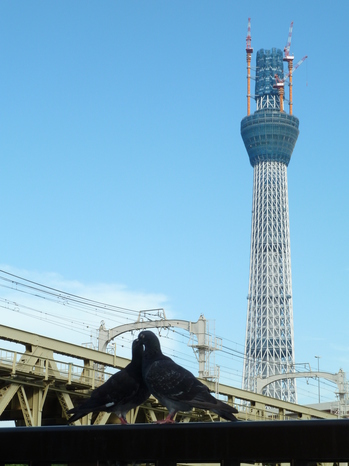 L1000371.JPG
